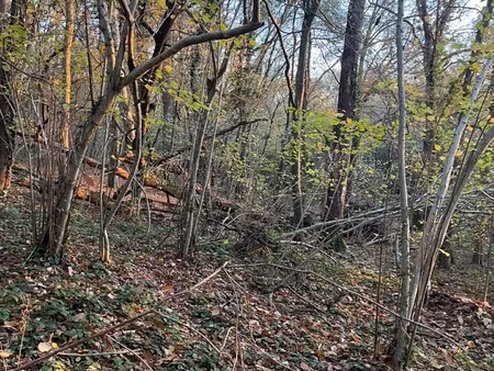 vente terrain 1 970 m²