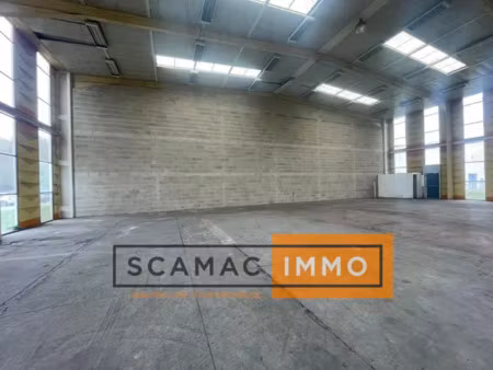 local d'activités de 980m²