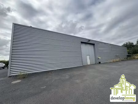 local d'activite a louer