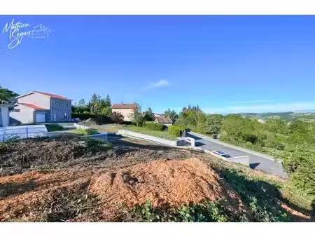 terrain à bâtir au cœur de la végétation