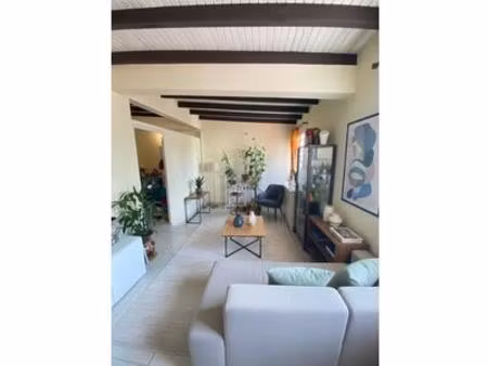 investissement locatif 2 appartements t2 loués trinité bourg  martinique