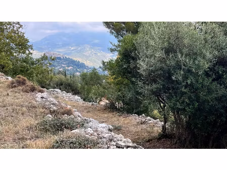 achat terrain 1 238m² carros 06510