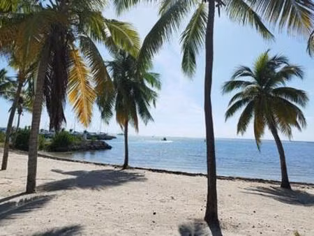 appartement à vendre - stationnement - studio - accès direct à la plage  guadeloupe