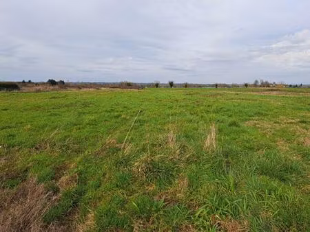 terrain à bâtir à lamonzie-saint-martin (24680)