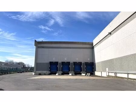 logistieke loodsen met laadkades vlakbij r42 in sint-niklaas