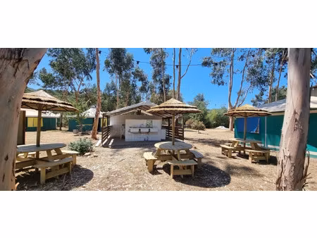 terrain à vendre casalabriva 42200m2 499 000€