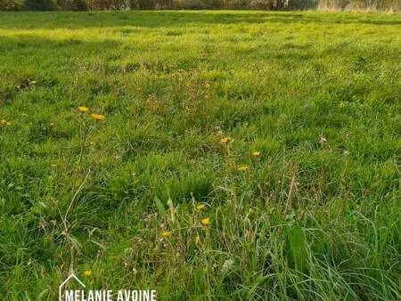 vente terrain au thou (17290) : à vendre / 2140m² le thou