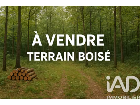 vente terrain aux bordes (45460) : à vendre / 1970m² les bordes