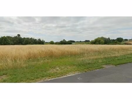 vente terrain 1359 m² pugnac (33710)
