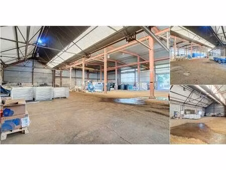 surface industrielle à louer à avenue frère a.m.gochet 16 sambreville (vbd53919)