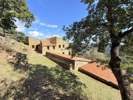 vente maison 13 pièces 538m2 montbolo 66110 - - surface privée