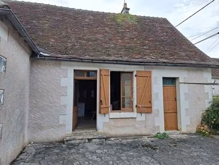 vente maison 4 pièces 113 m² azay-le-ferron (36290)