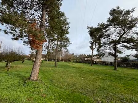 vente terrain 951 m² mont-près-chambord (41250)