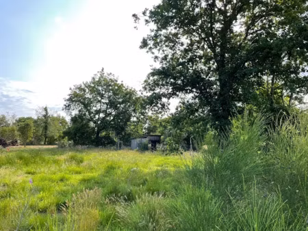 vente maison neuve 4 pièces 100 m² à lacanau (33680)  455 000 €