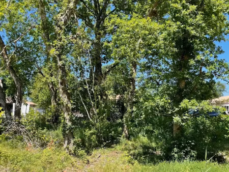 vente maison neuve 6 pièces 125 m² à lacanau (33680)  535 000 €