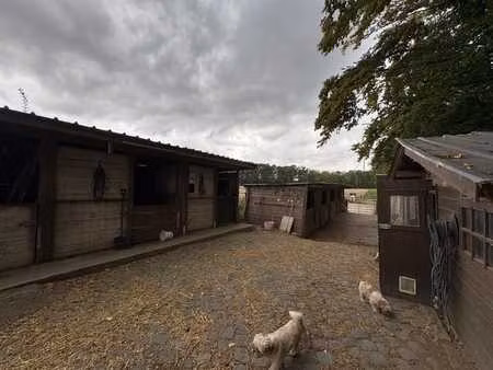 7 box à chevaux avec piste et autres avantages
