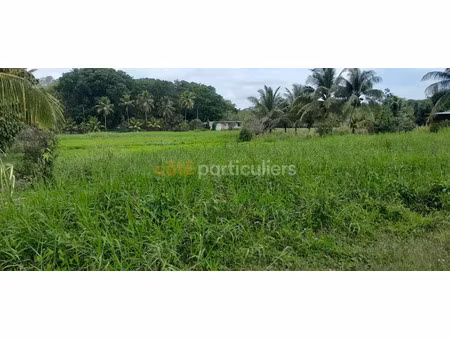 vente terrain 3277 m² à morne a l'eau (97111)  152 000 €
