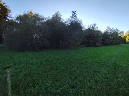 vente terrain 690 m² à salaunes (33160)  144 900 €