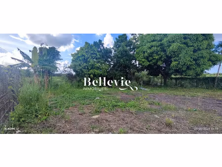 vente terrain à batir 584 m² à baie mahault (97122)  179 000 €