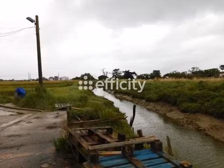 vente locaux professionnels 70 m² à dolus-d'oléron (17550)  172 500 €