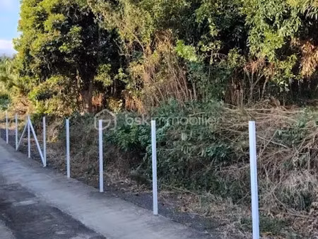 vente terrain 1078 m² à entre deux (97414)  330 000 €