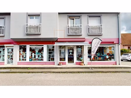 vente locaux professionnels 3 pièces 109.16 m² à soufflenheim (67620)  178 900 €