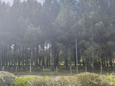 a vendre - appartement t2 de 41.33m² à benesse maremne (40230