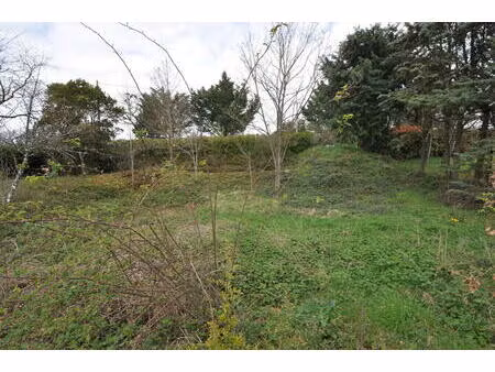 vente terrain 1045 m² albi (81000)