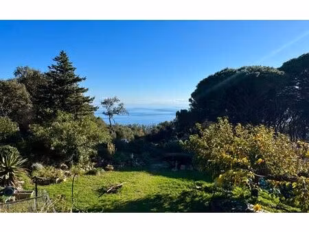 maison brando 143 m² t-5 à vendre  590 000 €