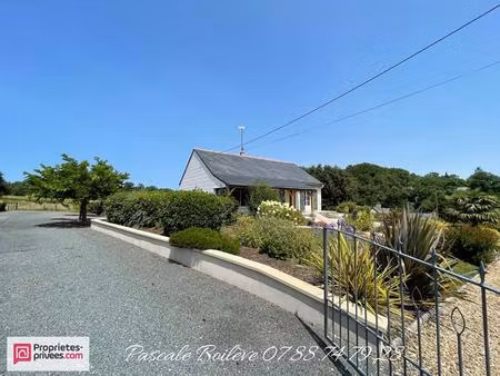 charmante maison sur sous-sol avec terrain de 16 612 m² (possibilité jusqu'à 7 ha)- moulih