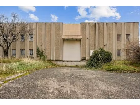 vente local d'activités oullins 3 733 m²