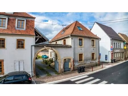 prestigieux immeuble de rapport en vente à sainte-croix-en-plaine  france