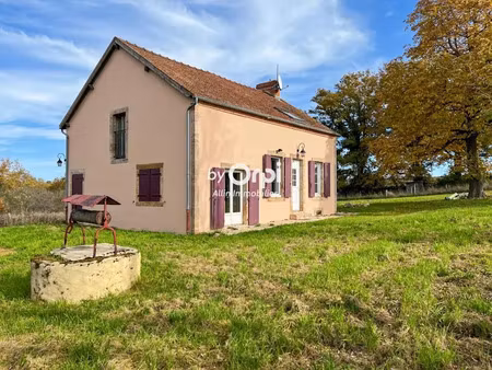vente maison à vallon-en-sully (03190)  nan €