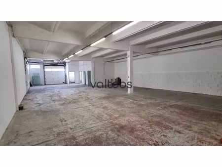 local d'activité avec bureaux a louer