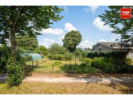 bouwgrond te koop in wondelgem