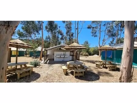 vente maison 42200 m² casalabriva (20140)