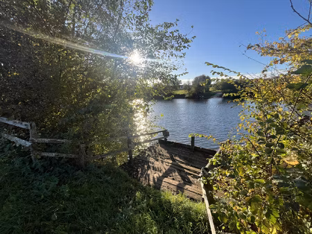 achat terrain 9 851m² avoise 72430