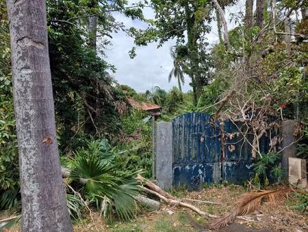 terrain constructible viabilisé à vendre