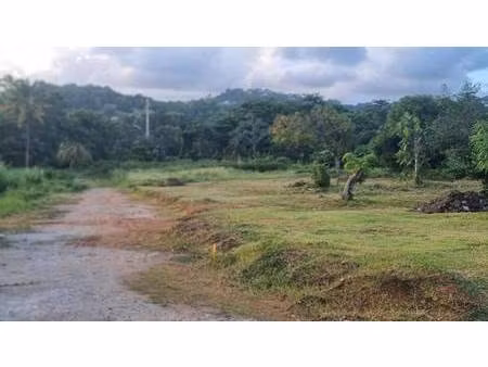 terrain constructible à vendre