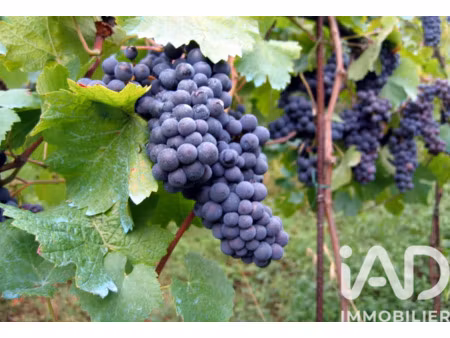 vente terrain à lalande-de-pomerol (33500) : à vendre / 20000m² lalande-de-pomerol