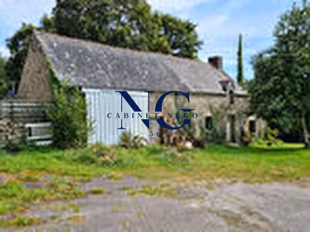 vente maison 3 pièces 470 m² à saint-nolff (56250)  472 500 €
