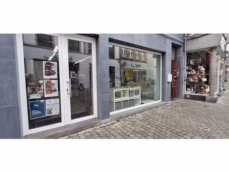 rez-de-chaussee commercial a louer