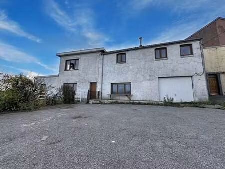 spacieuse maison avec garage et jardin