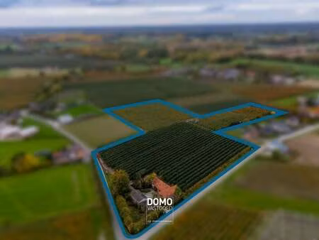 terrain à vendre à herk-de-stad € 590.661 (lhgzp) - domo vastgoed | zimmo