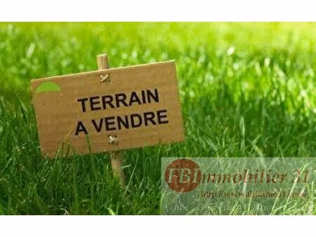 terrain constructible