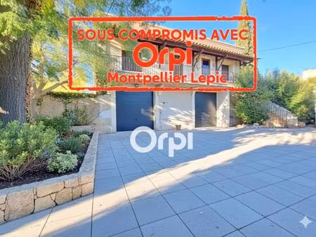 maison vigneronne- immense remise – oliveraie sur terrain constructible