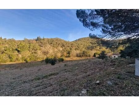 terrain montauriol m² t- à vendre  185 000 €