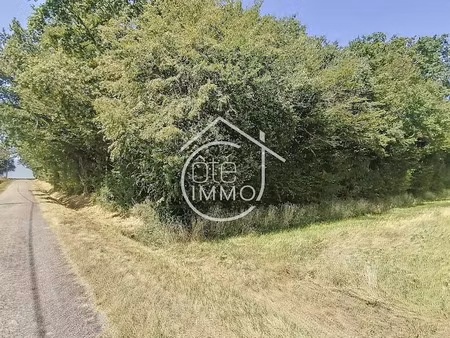 vente terrain 19860 m² à savignac-de-duras (47120)  14 000 €