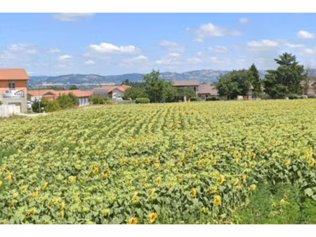 vente terrain 447 m² à viriville (38980)  73 000 €