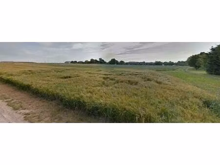 terrain constructible viabilisé à vendre